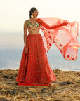 Georgette Bias Lehenga Set