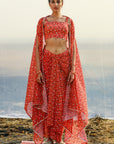 Georgette Printed Draped Dhoti Set - georgette dress