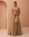 Gold Flake Mirror Lehenga - mirror work lehenga set