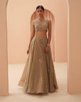 Gold Flake Mirror Lehenga - mirror work lehenga set