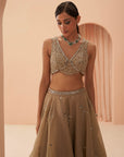 Gold Flake Mirror Lehenga - mirror work lehenga set