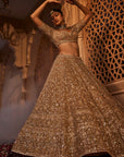 Gold Organza Lehenga - lehenga dress