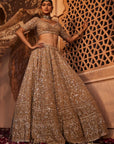 Gold Organza Lehenga - lehenga dress