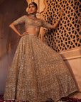 Gold Organza Lehenga - lehenga dress