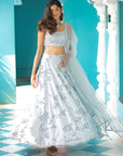 Grey Embroidered Set - embroidered lehenga