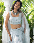 Grey Embroidered Set - embroidered lehenga