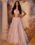 Harsha Pink Embroidered Lehenga - embroidered lehenga