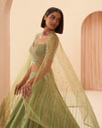 Jade Lehenga Set - lehenga
