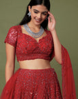 Kahkashan Red Lehenga - red lehenga