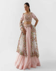 Light Pink Embroidered Lehenga Set - embroidered lehenga