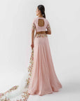 Light Pink Embroidered Lehenga Set - embroidered lehenga
