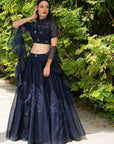 Maheem Organza Lehenga - black lehenga