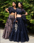Maheem Organza Lehenga - black lehenga