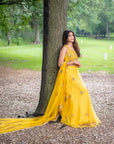 Mango Mirror Lehenga Set - mirror work lehenga