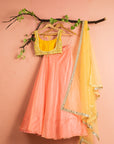 Melon Orange Organza Lehenga With Pineapple Yellow Mirrorwork Blouse Dupatta - yellow lehenga