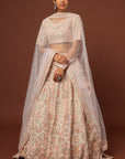 Peach Raw Silk Lace and Resham Embroidered Lehenga - lehenga choli Canada