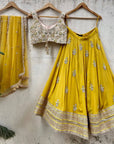 Mustard and Beige Mirror Cutwork Lehenga Set - mirror work lehenga