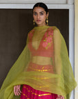 Neemli Lehenga Set - pink lehenga