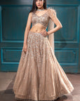 Nude Gold Lehenga - golden lehenga