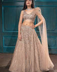 Nude Gold Lehenga - golden lehenga