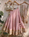 Nude Pink Lehenga Set With Mirror Bustier And Nude Dupatta - designer lehenga