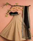 Nude Rawsilk Lehenga With Black Blouse Dupatta - raw silk lehenga