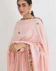 Pastel Pink Anarkali With Chanderi Dupatta - anarkali dress