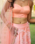 Peach Bustier with Skirt and Dupatta - peach dress