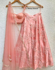 Peach Bustier with Skirt and Dupatta - peach dress