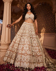 Peach Khushi Heavily Embroidered Lehenga - lehenga lehenga choli