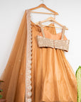 Peanut Tan Lehenga with Gold Mirror Work Blouse - lehenga