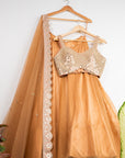 Peanut Tan Lehenga with Gold Mirror Work Blouse - lehenga