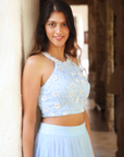 Powder Blue Bustier Tulle Skirt - indian wear for women