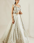 Powder Blue Lehenga - designer lehenga
