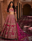 RANI Lucknowi Embroidered Lehenga - bridal embroidered lehenga