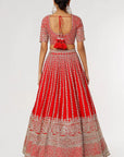 Red Aster Lehenga - lehenga