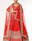 Red Aster Lehenga - lehenga