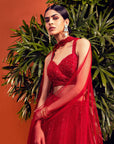RIO Lehenga - red lehenga