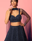RIO Navy Embroidered Lehenga - embroidered lehenga