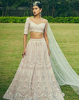 Rose Quartz Pink Lehenga - lehenga