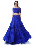 Royal Blue Lehenga - blue lehenga