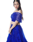 Royal Blue Lehenga - blue lehenga