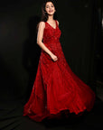 Ruby Red Anarkali Gown - red dress