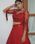 Ruby Tone On Tone Lehenga Set - red lehenga