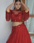 Ruby Tone On Tone Lehenga Set - red lehenga