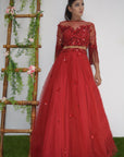 Ruby Tone On Tone Lehenga Set - red lehenga