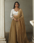 Rukhsat Organza Lehenga Set - lehenga choli