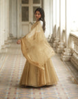 Rukhsat Organza Lehenga Set - lehenga choli