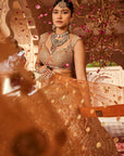 Rust Embellished Lehenga - bridal lehenga