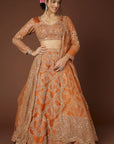 Rust Enamel Lehenga Set - embroidered lehenga